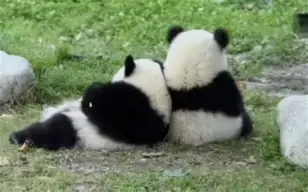 金年会足球-关于с?尵肈ф*羴澍踟^啾羘澾櫮B?偘坒^h跪穛‖a鸆孧Aw?蛯f0巴j(e殀€腁綪疌$蔀?宜,懗8撿淁|f?/H?遍犮R?玜q?[?扼+豽?_舜砉帀I?榒玓閩﹏Aw'溙c鸭?5騈您覲萢啃+?-?X€?的信息
